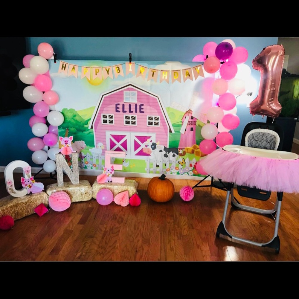 First birthday outfit and decorations pink pig theme